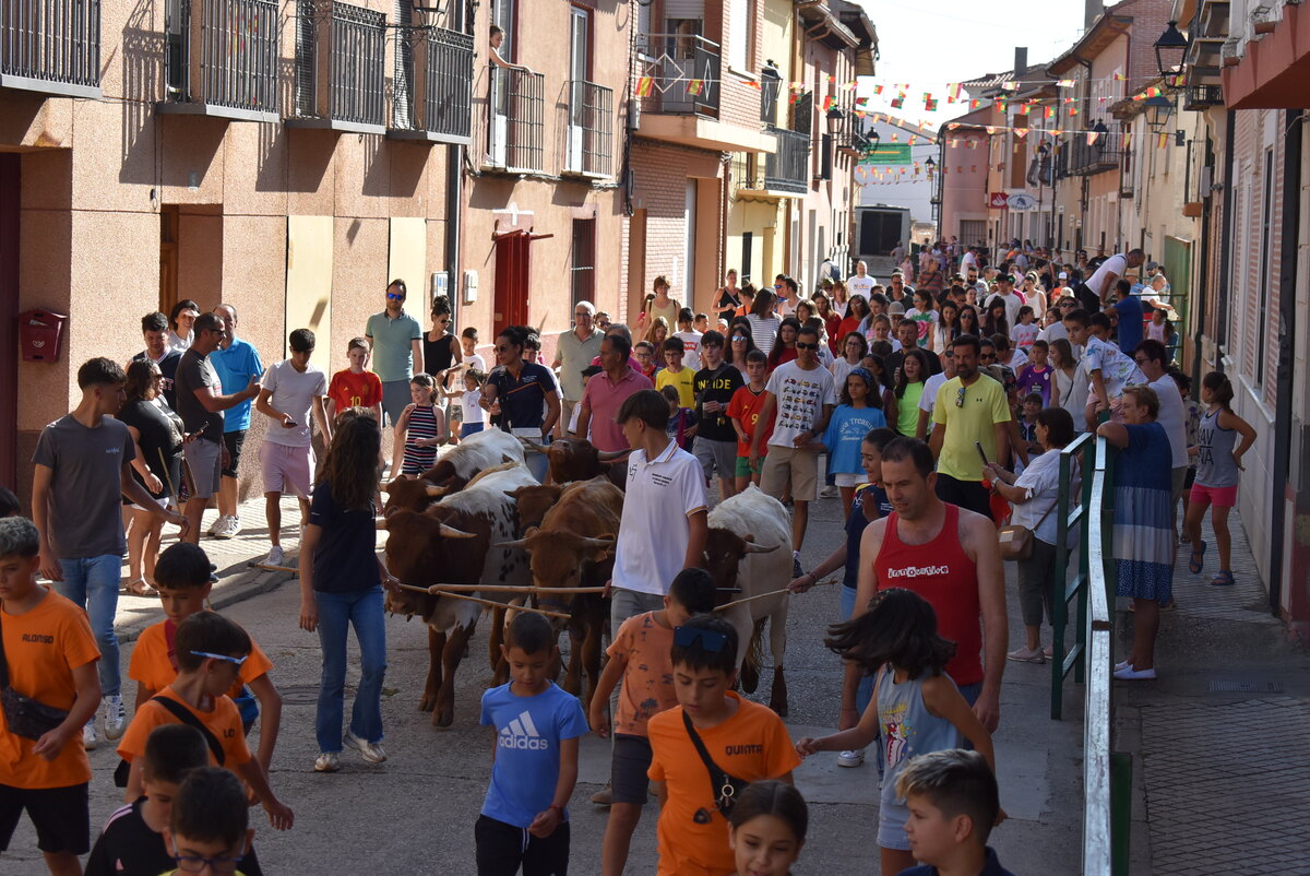 Día del Niño y Gran Prix de Peñas en Cigales.  / El Día de Valladolid