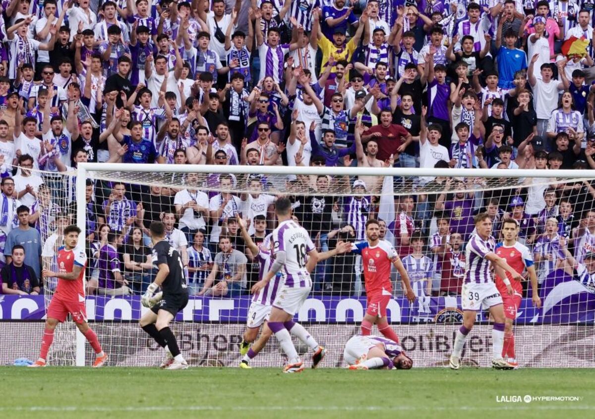 Partido entre el Real Valladolid y el Espanyol.  / LALIGA