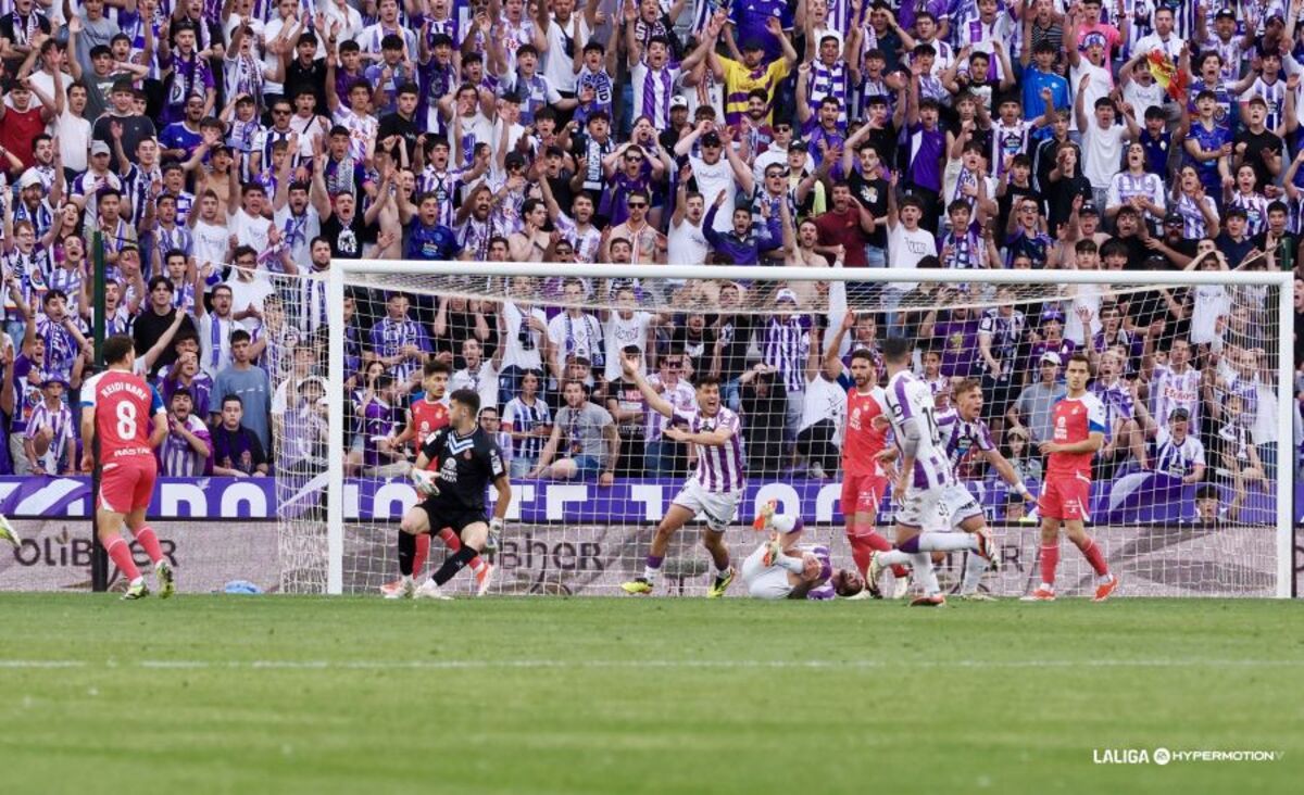 Partido entre el Real Valladolid y el Espanyol.  / LALIGA