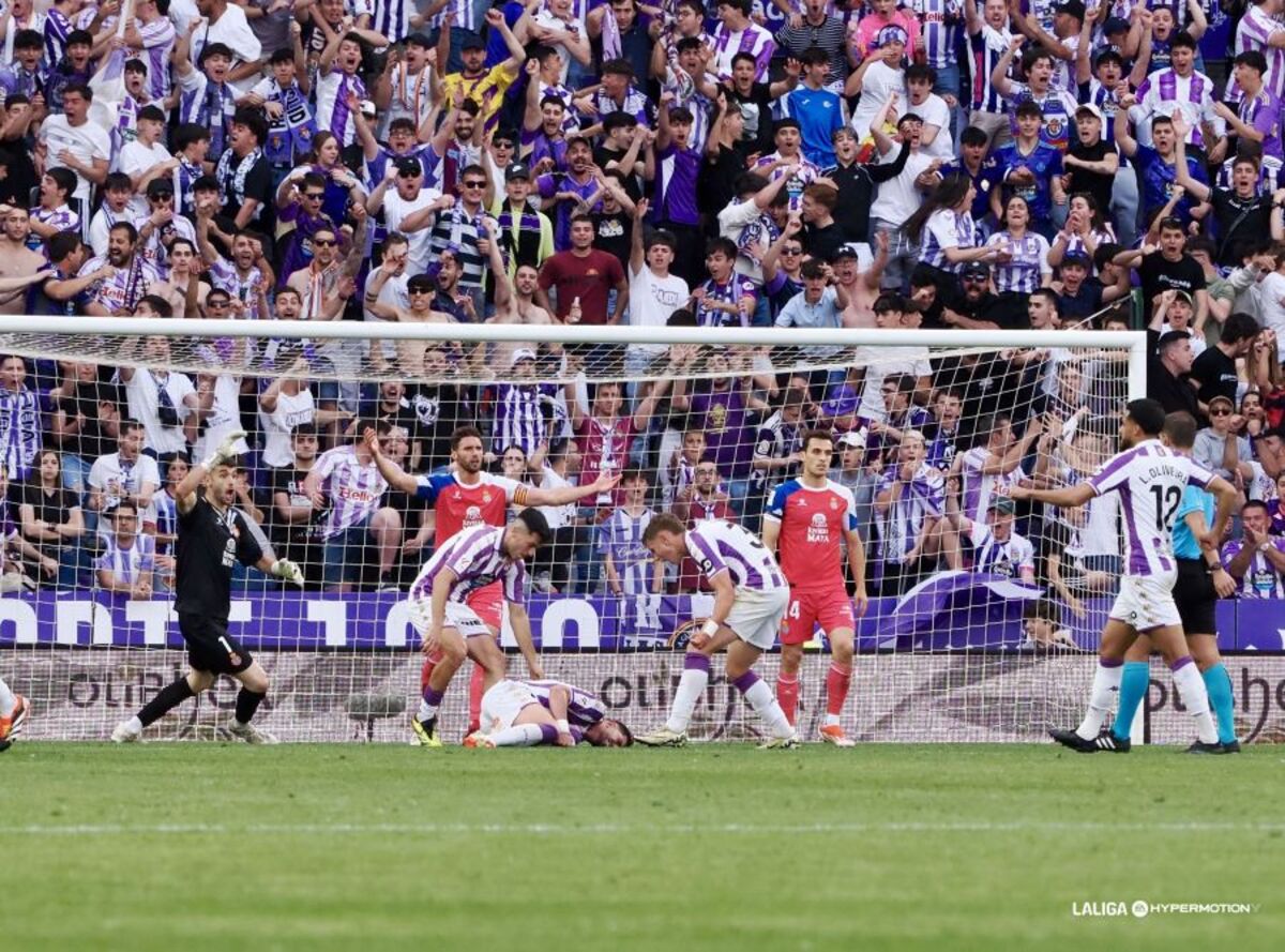 Partido entre el Real Valladolid y el Espanyol.  / LALIGA