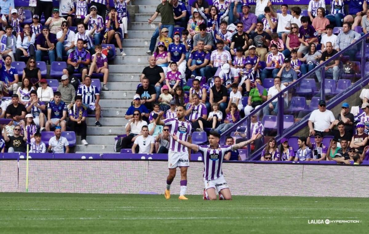 Partido entre el Real Valladolid y el Espanyol.  / LALIGA