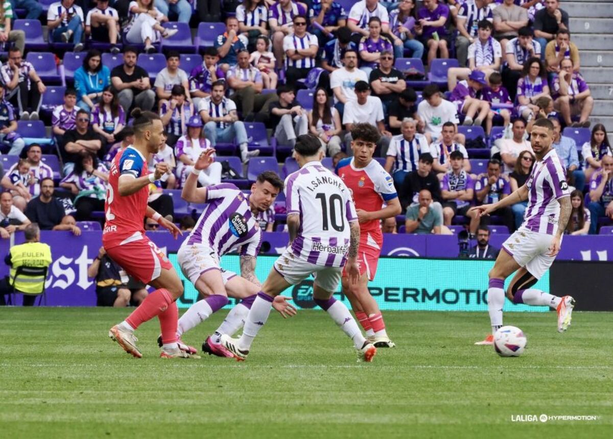 Partido entre el Real Valladolid y el Espanyol.  / LALIGA