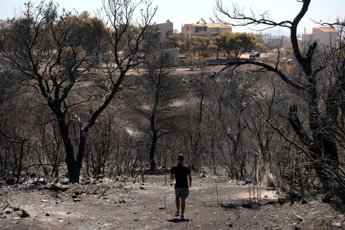 Wildfire in Greece's Attica region  / GEORGE VITSARAS