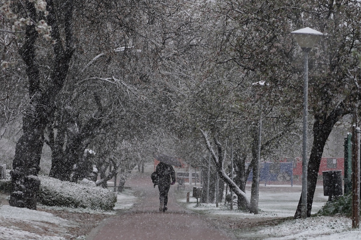 Segunda nevada en Valladolid  / RUBÉN CACHO / ICAL