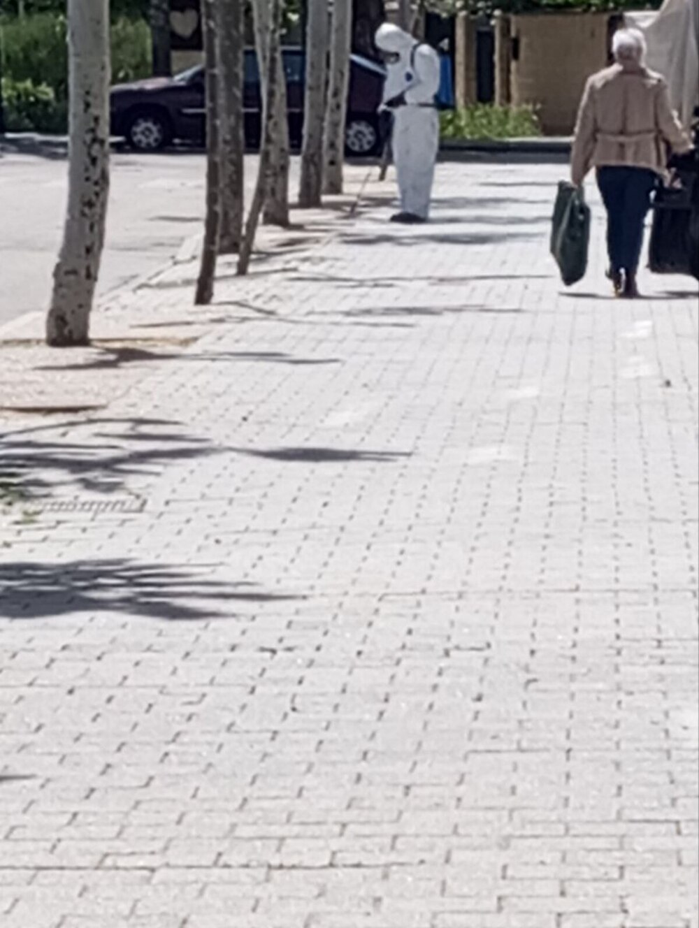 La Asociación Vecinal Calle de Laguna de Duero y Ateneo Socio Cultural denuncian el uso de un herbicida tóxico no autorizado.