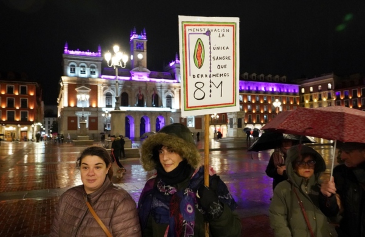 Manifestación del 8M en Valladolid  / ICAL