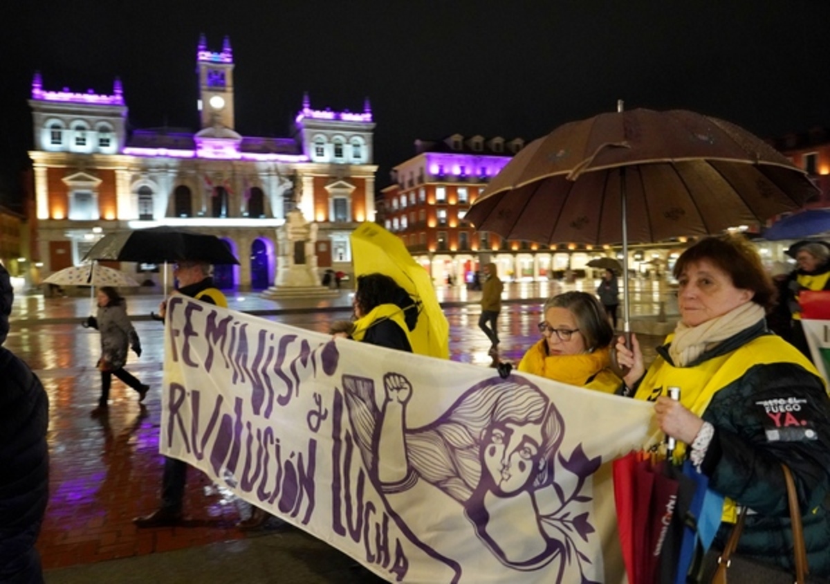 Manifestación del 8M en Valladolid  / ICAL