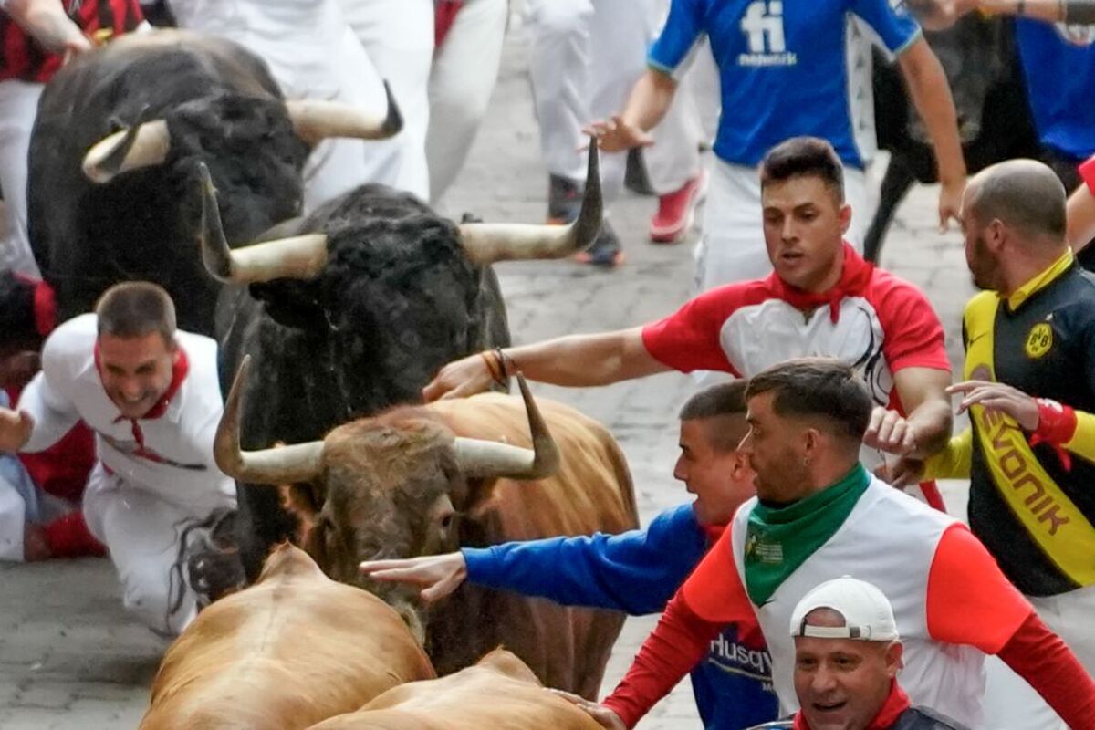 Los toros de Domingo Hernández en el quinto encierro de los Sanfermines  / AINHOA TEJERINA