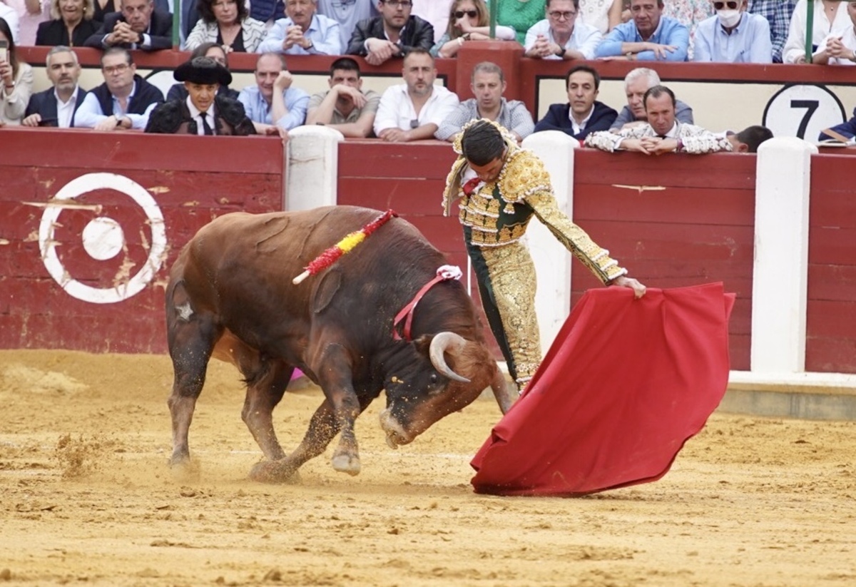 Feria taurina de San Pedro Regalado.  / LETICIA PÉREZ / ICAL