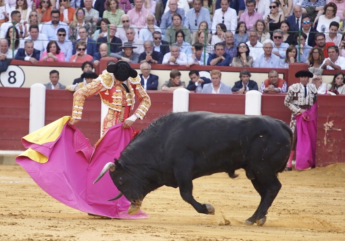 Feria taurina de San Pedro Regalado.  / LETICIA PÉREZ / ICAL