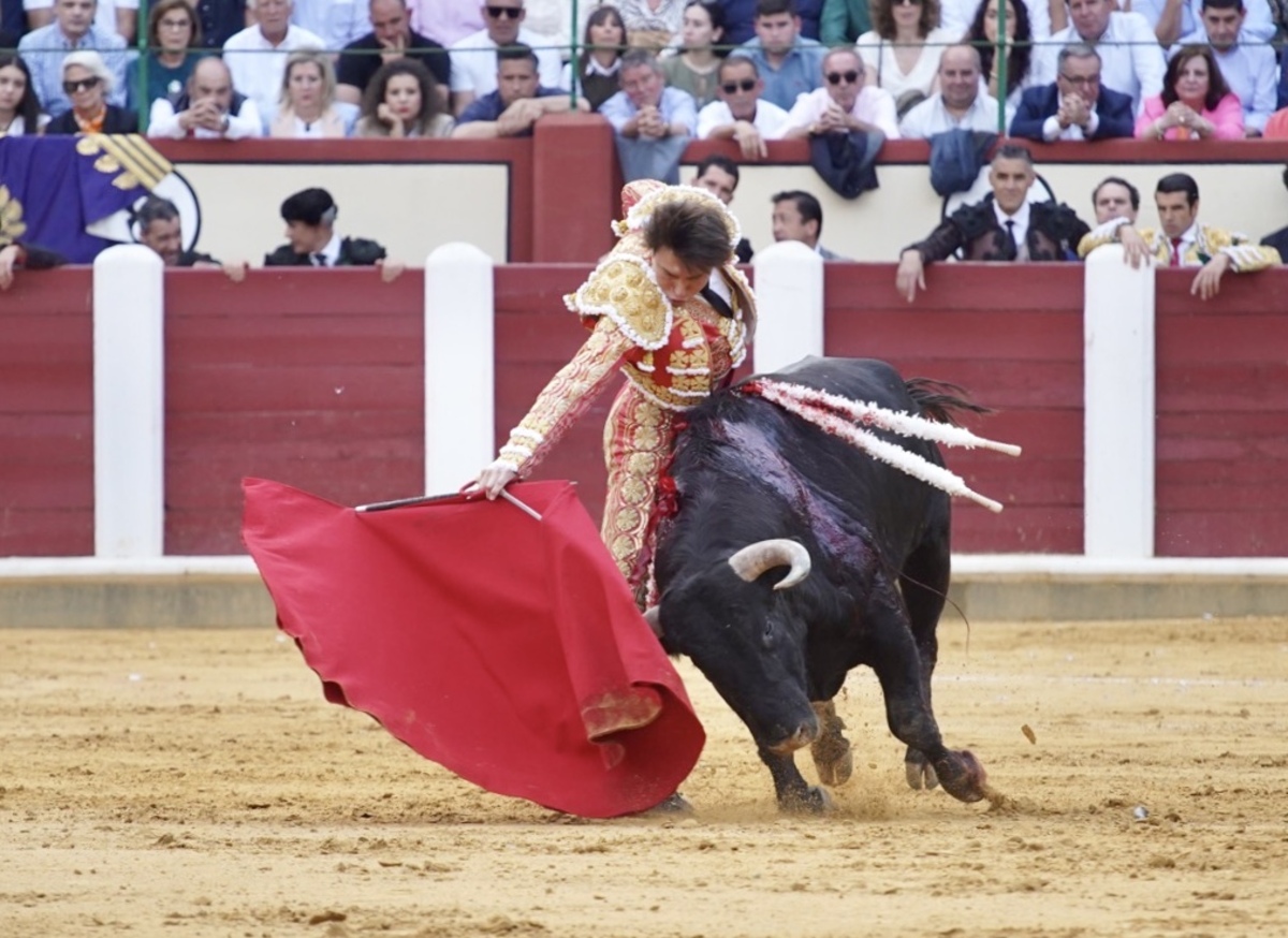 Feria taurina de San Pedro Regalado.  / LETICIA PÉREZ / ICAL