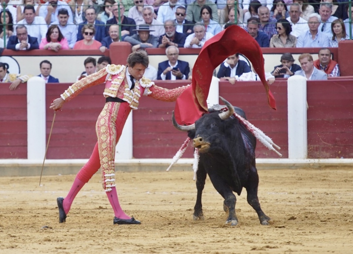 Feria taurina de San Pedro Regalado.  / LETICIA PÉREZ / ICAL