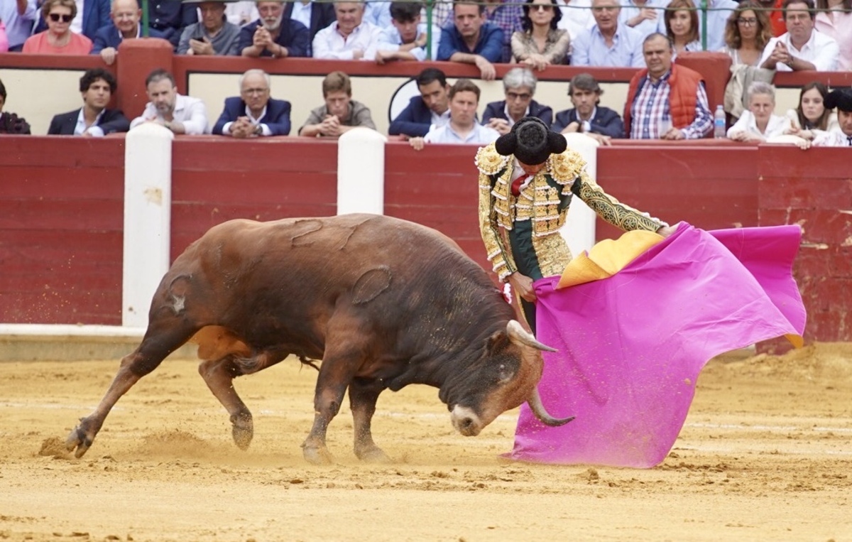 Feria taurina de San Pedro Regalado.  / LETICIA PÉREZ / ICAL