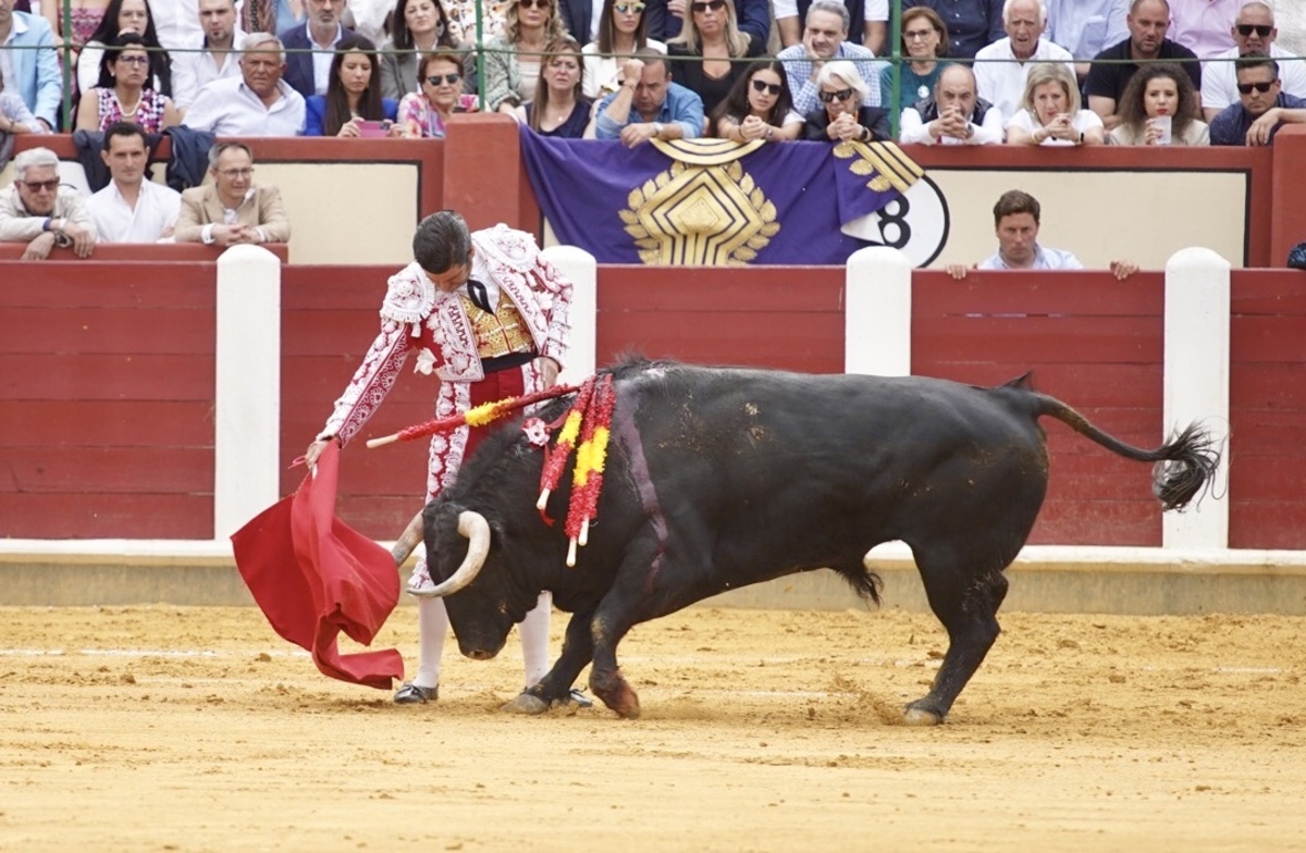 Feria taurina de San Pedro Regalado.  / LETICIA PÉREZ / ICAL