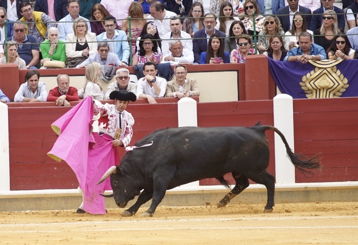 Feria taurina de San Pedro Regalado.  / LETICIA PÉREZ / ICAL