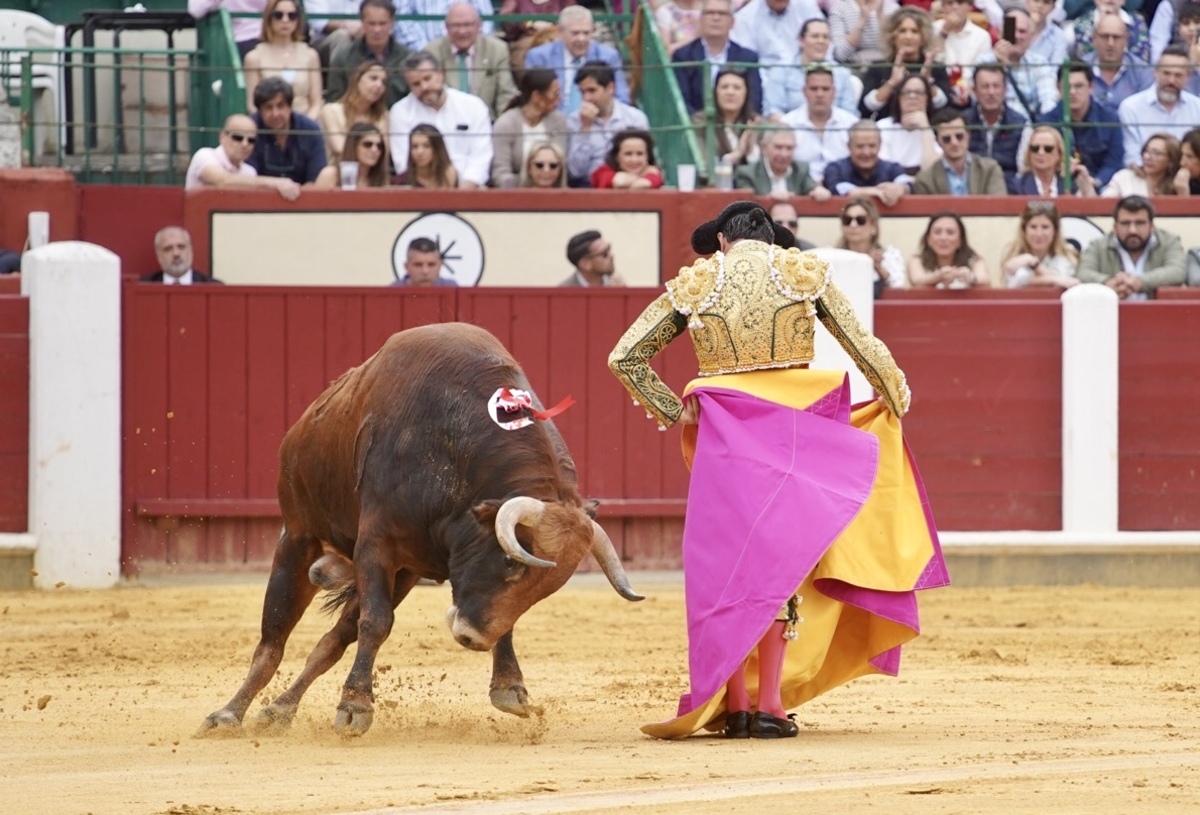 Feria taurina de San Pedro Regalado.  / LETICIA PÉREZ / ICAL