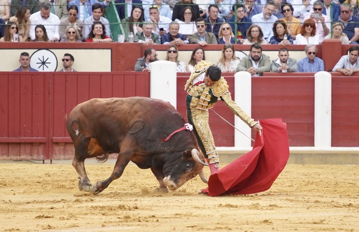 Feria taurina de San Pedro Regalado.  / LETICIA PÉREZ / ICAL