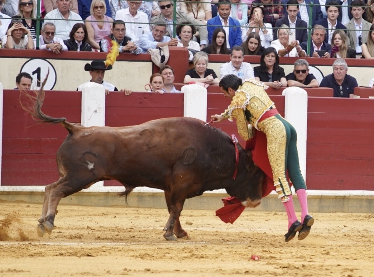 Feria taurina de San Pedro Regalado.  / LETICIA PÉREZ / ICAL