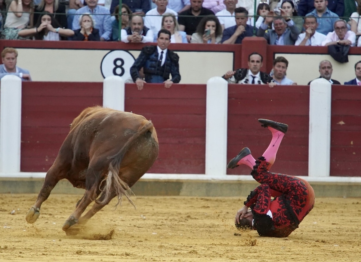 Roca Rey en la Feria taurina De San Pedro Regalado.  / LETICIA PÉREZ / ICAL