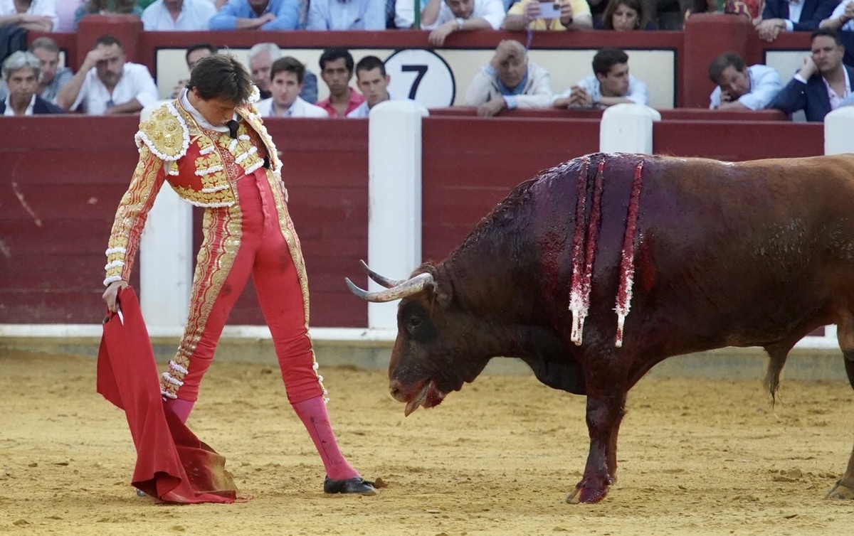 Roca Rey en la Feria taurina De San Pedro Regalado.  / LETICIA PÉREZ / ICAL