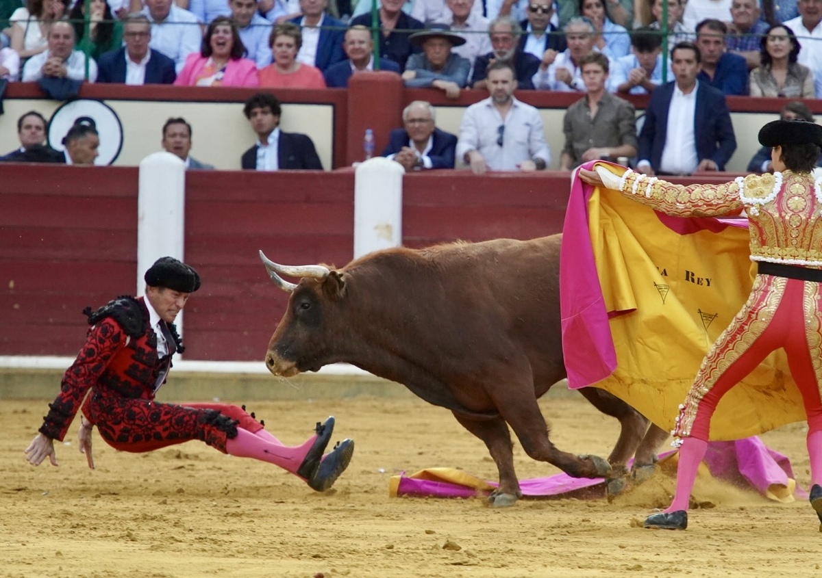 Roca Rey en la Feria taurina De San Pedro Regalado.  / LETICIA PÉREZ / ICAL