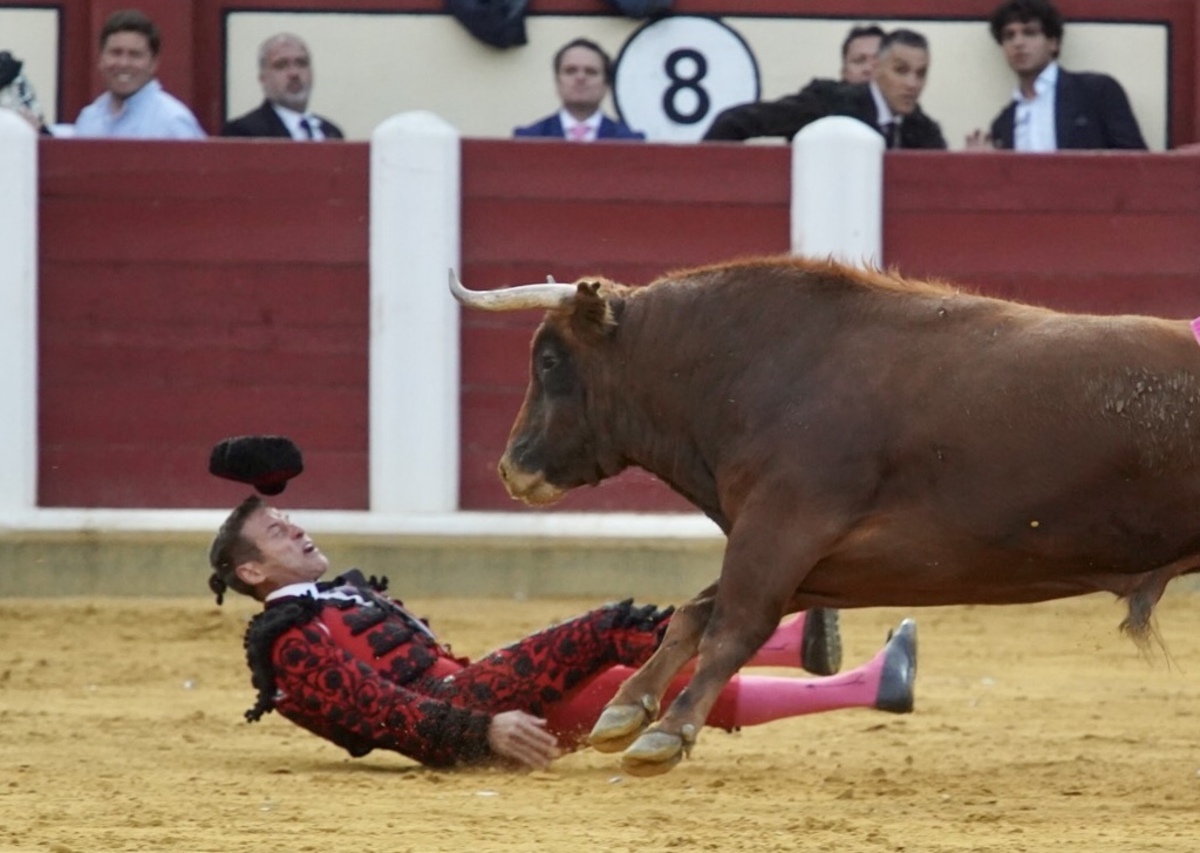 Roca Rey en la Feria taurina De San Pedro Regalado.  / LETICIA PÉREZ / ICAL