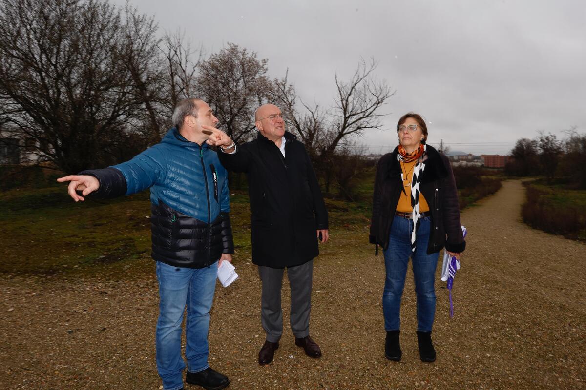 El alcalde de Valladolid visita la zona en la que se ejecutará la Reserva biológica-urbana ‘El Tomillo’  / ICAL