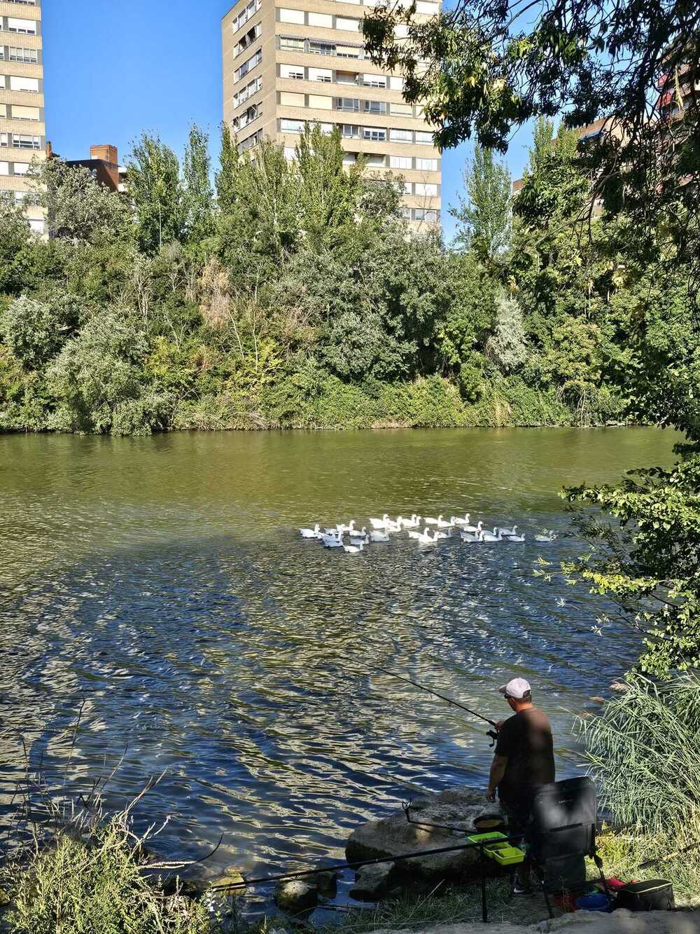 Más de 60 participantes en el Trofeo de Pesca por las Fiestas