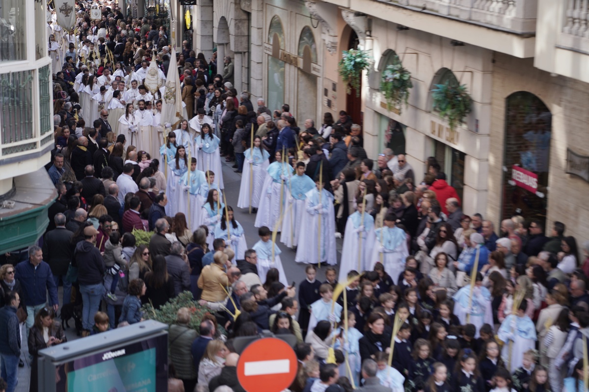 Procesión del Domingo de Ramos en Valladolid.  / RUBÉN CACHO ICAL