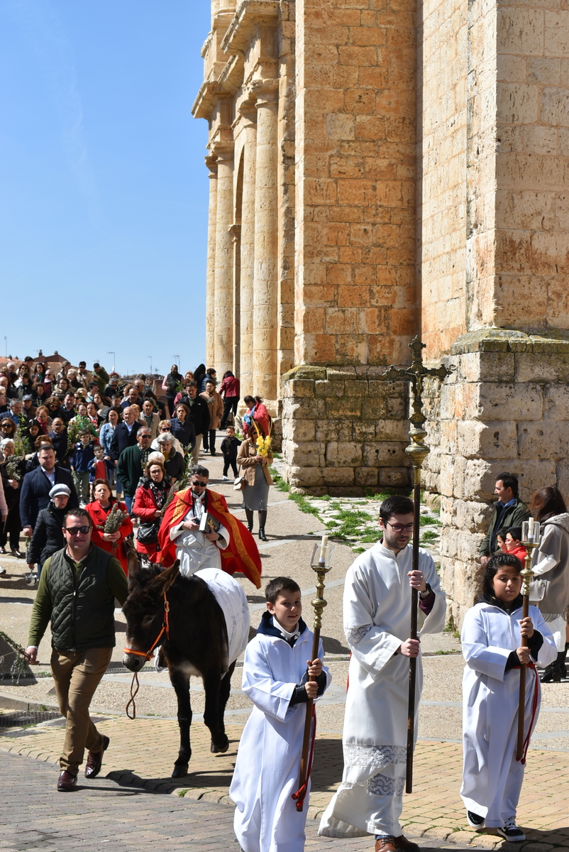 Procesión del Domingo de Ramos en Cigales.  / CIGALES