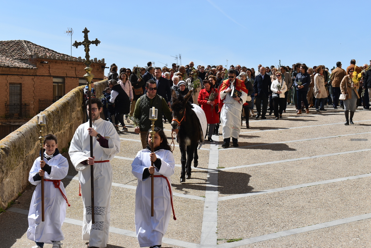 Procesión del Domingo de Ramos en Cigales.  / CIGALES