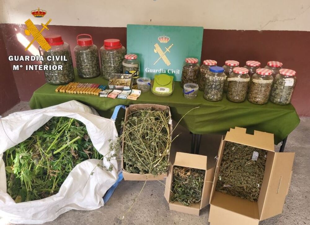 Imagen de la marihuana encontrada en una vivienda en Tudela de Duero.