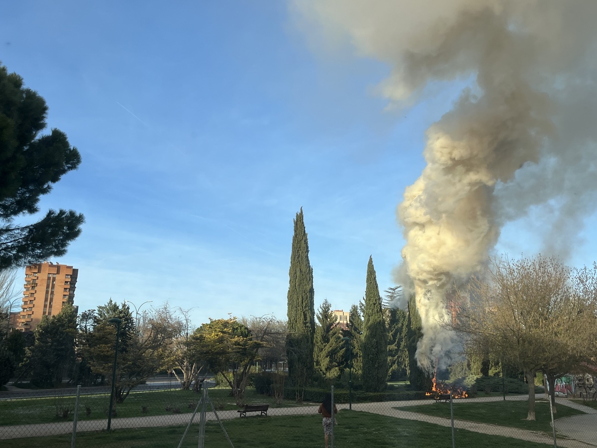 Los bomberos de Valladolid sofocan un fuego en un árbol en el barrio de Villa del Prado  / EDUARDO MARGARETO ICAL