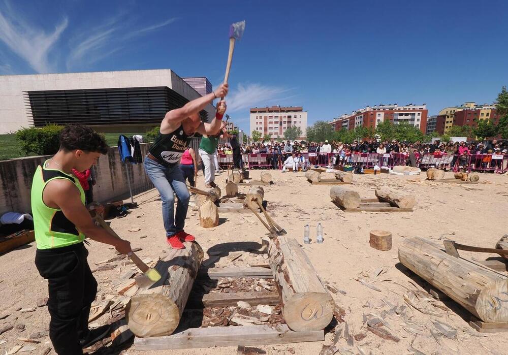 Más de 6.000 personas visitan las Cortes en el Dia de CyL