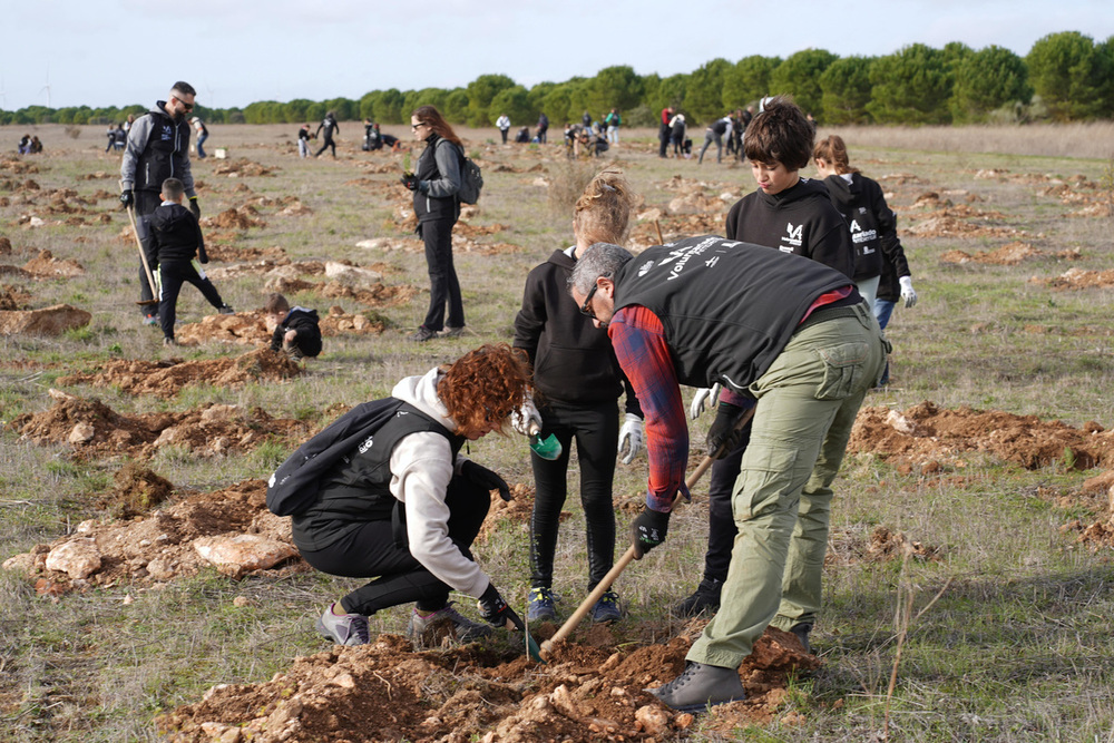 La Fundación Renault Group planta su cuarto bosque reafirmando su compromiso con la descarbonización.