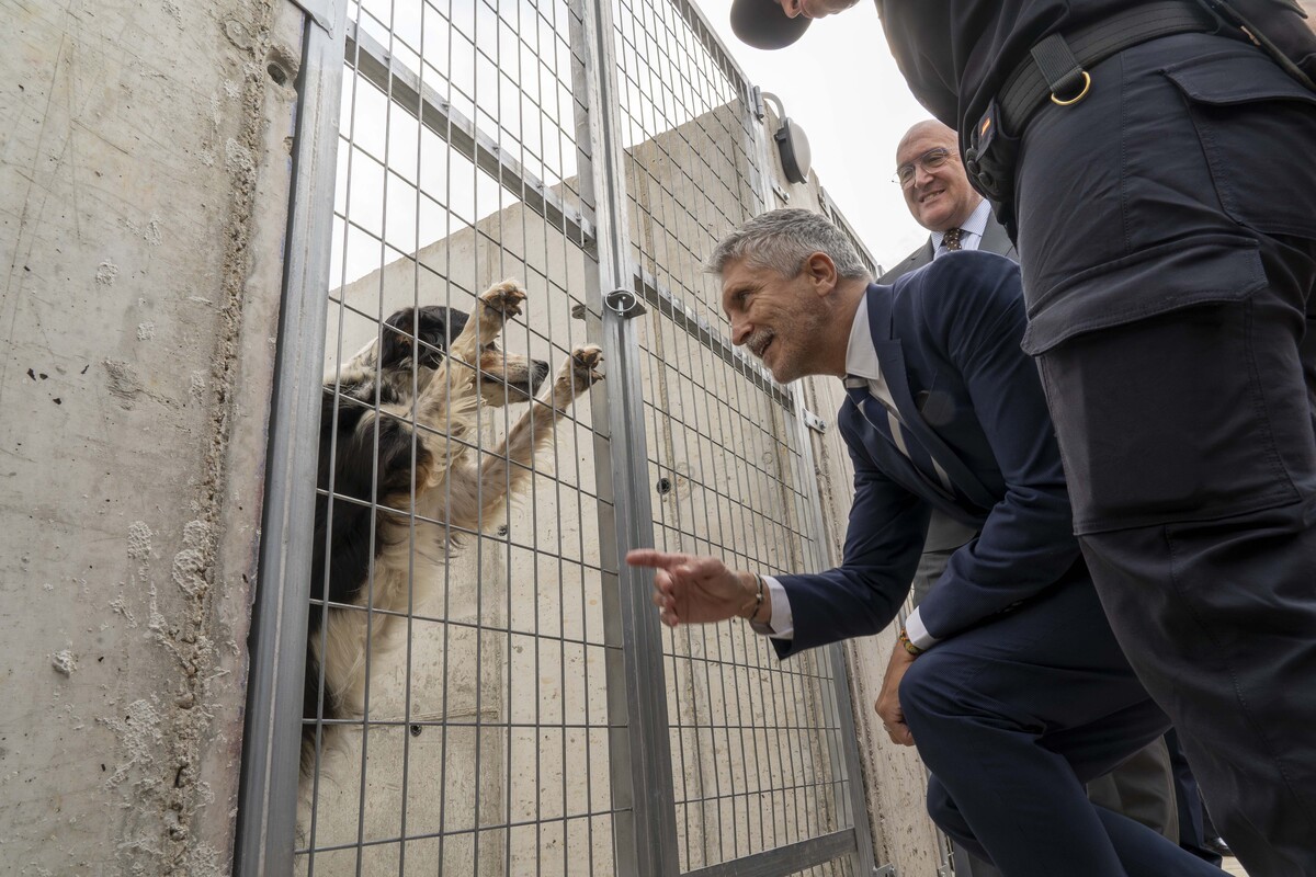 El ministro de Interior inaugura la nueva sede de la Unidad de Guías Caninos de la Jefatura Superior de Policía de Castilla y León  / EDUARDO MARGARETO / ICAL