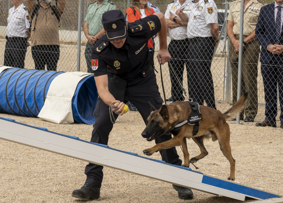 El ministro de Interior inaugura la nueva sede de la Unidad de Guías Caninos de la Jefatura Superior de Policía de Castilla y León  / EDUARDO MARGARETO / ICAL