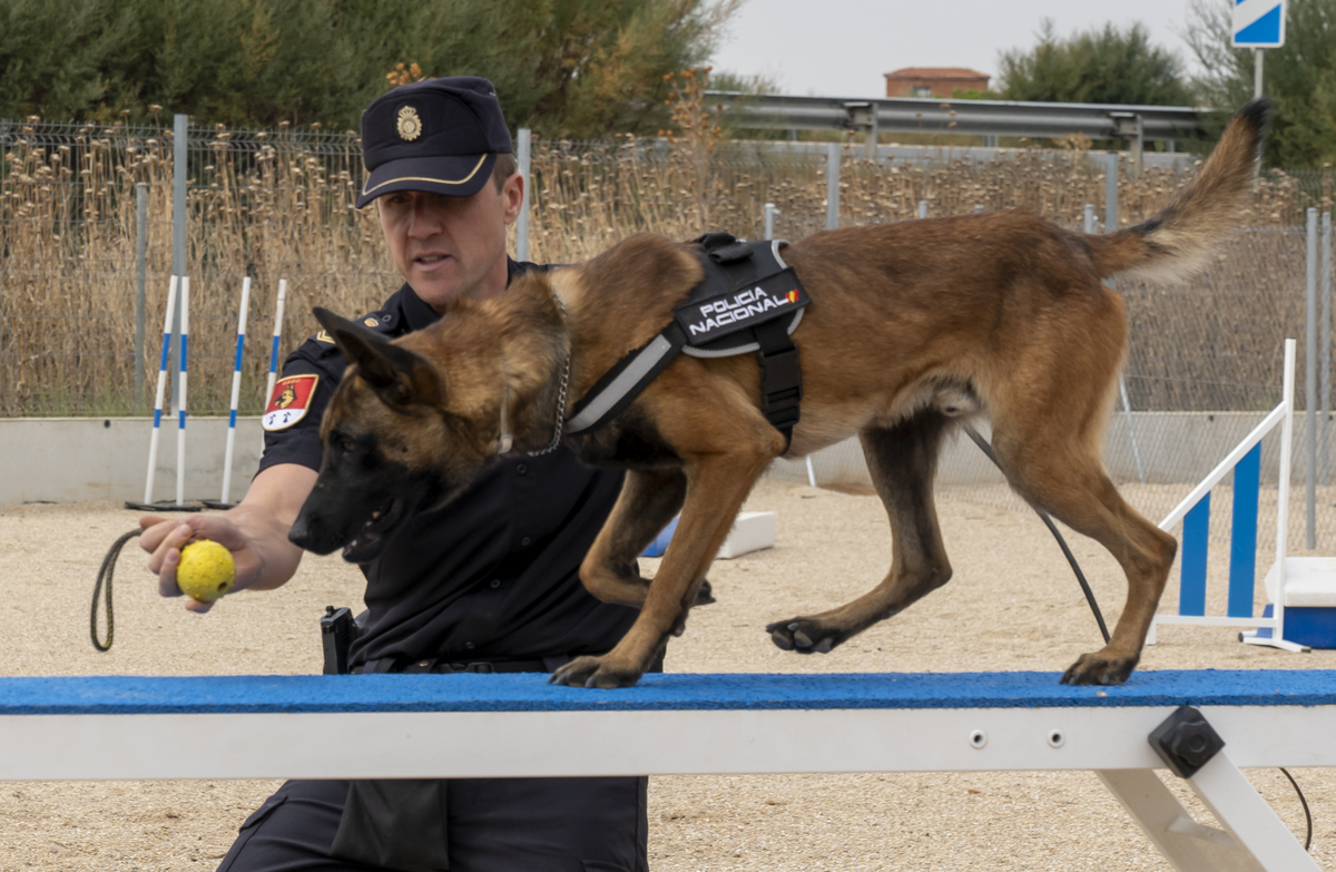 El ministro de Interior inaugura la nueva sede de la Unidad de Guías Caninos de la Jefatura Superior de Policía de Castilla y León  / EDUARDO MARGARETO / ICAL