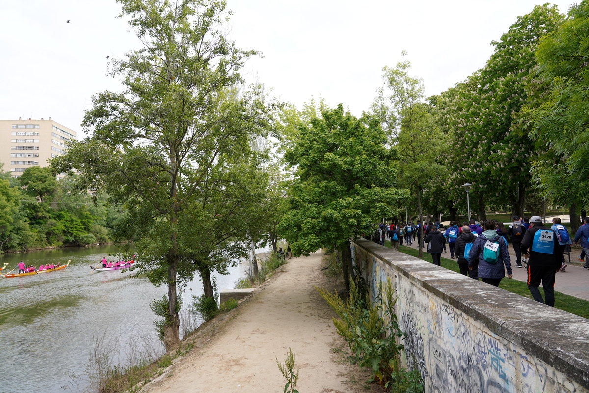 Celebración de la 47ª Marcha Asprona en Valladolid.  / MIRIAM CHACÓN (ICAL)