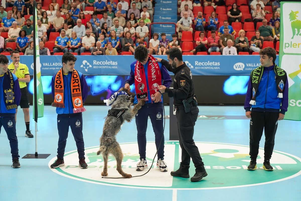 El Recoletas se lleva un espectacular derbi de Castilla y León ante Viveros Herol BM Nava con un resultado de 32-29.  / SERGIO BORJA