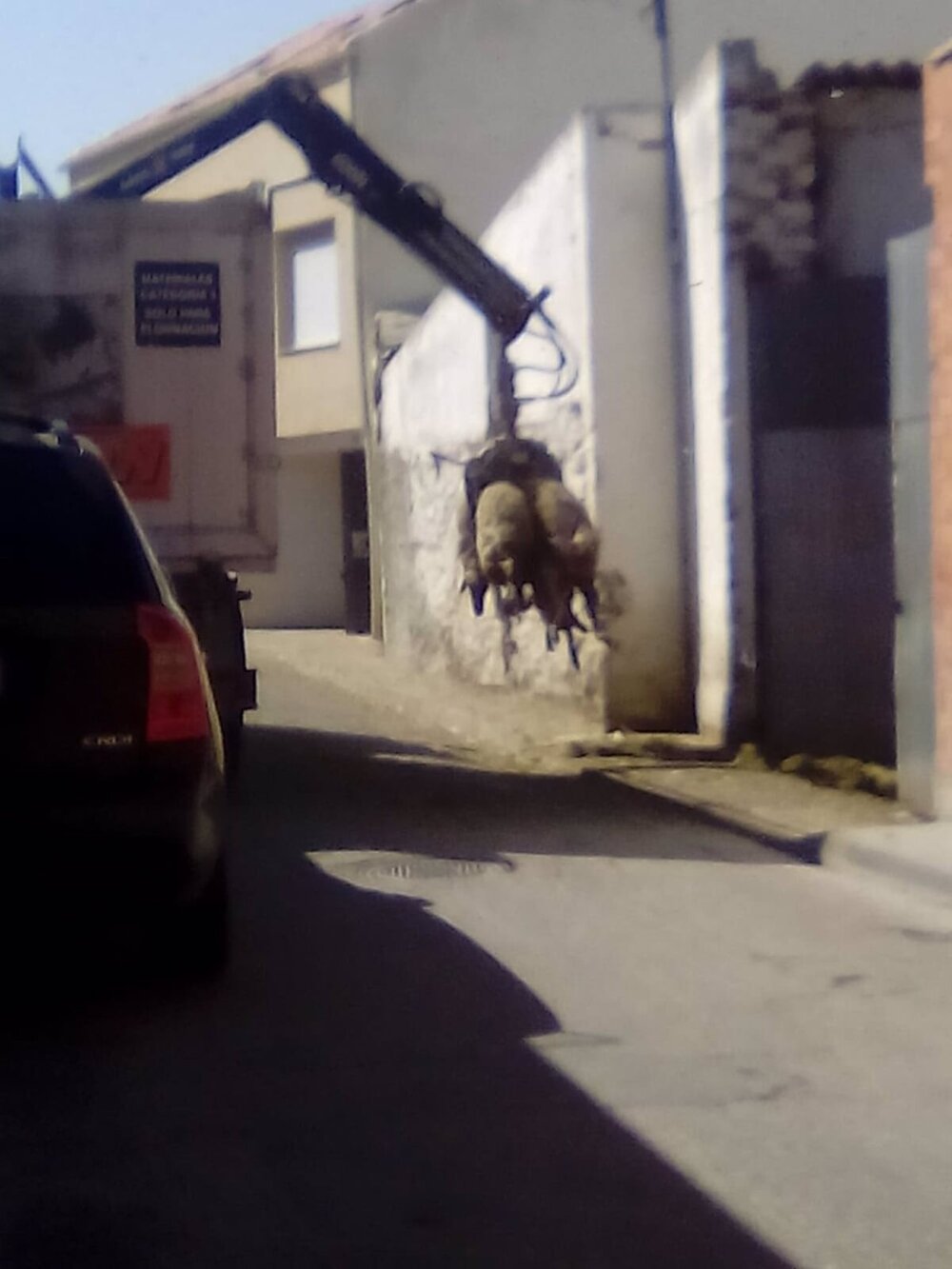 Intervención en una explotación ganadera. 