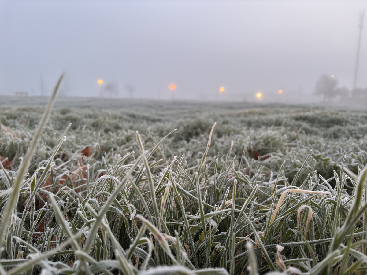 Niebla y bajas temperaturas en Valladolid  / MIRIAM CHACÓN (ICAL)