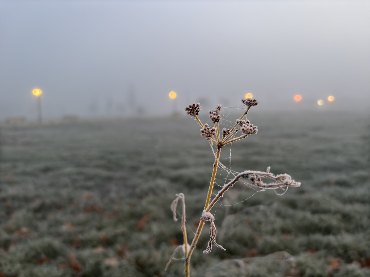 Niebla y bajas temperaturas en Valladolid  / MIRIAM CHACÓN (ICAL)