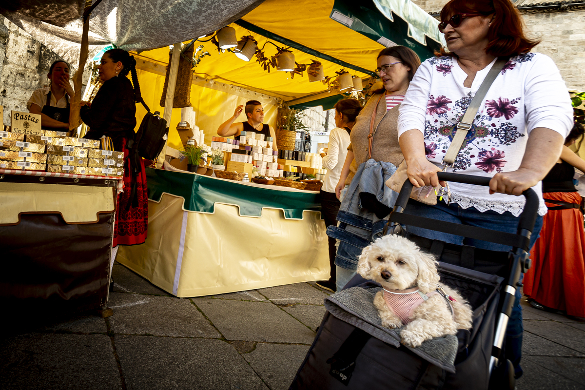 Mercado Castellano en San Pablo durante las fiestas de San Pedro Regalado  / JONATHAN TAJES