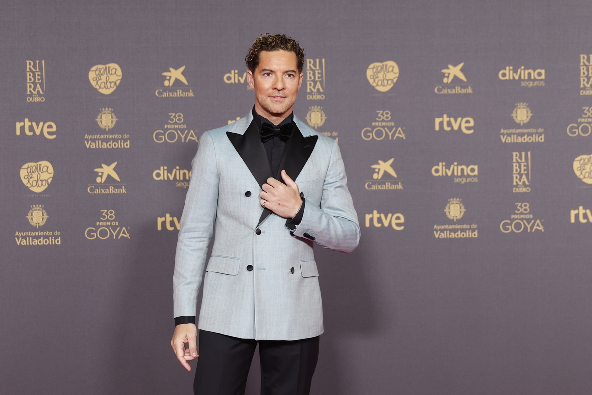 David Bisbal.  / PREMIOS GOYA