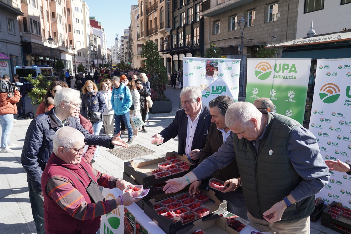 UPA reparte 500 tarrinas de fresa de Huelva para valorizar el producto y potenciar su consumo  / RUBÉN CACHO / ICAL