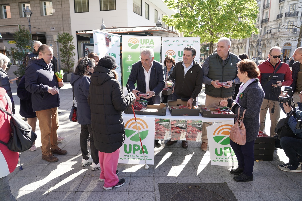 UPA reparte 500 tarrinas de fresa de Huelva para valorizar el producto y potenciar su consumo  / RUBÉN CACHO / ICAL