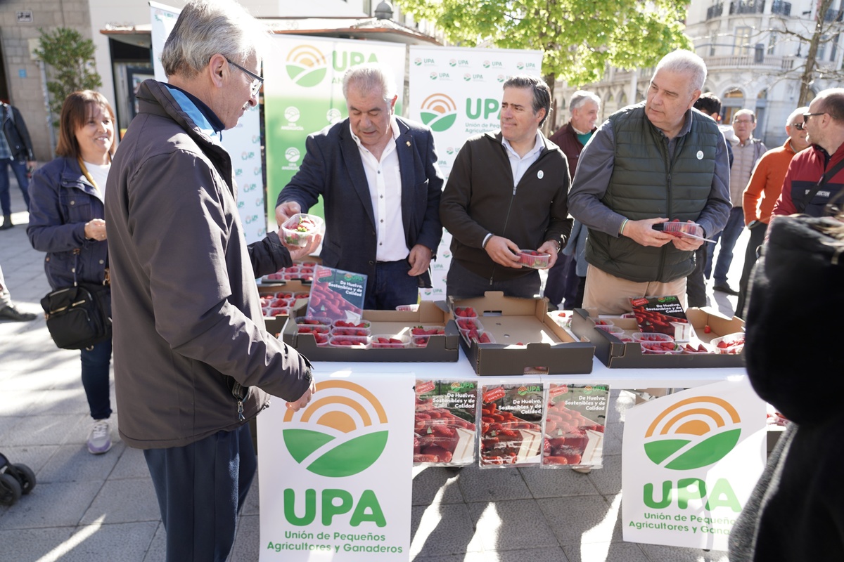 UPA reparte 500 tarrinas de fresa de Huelva para valorizar el producto y potenciar su consumo  / RUBÉN CACHO / ICAL