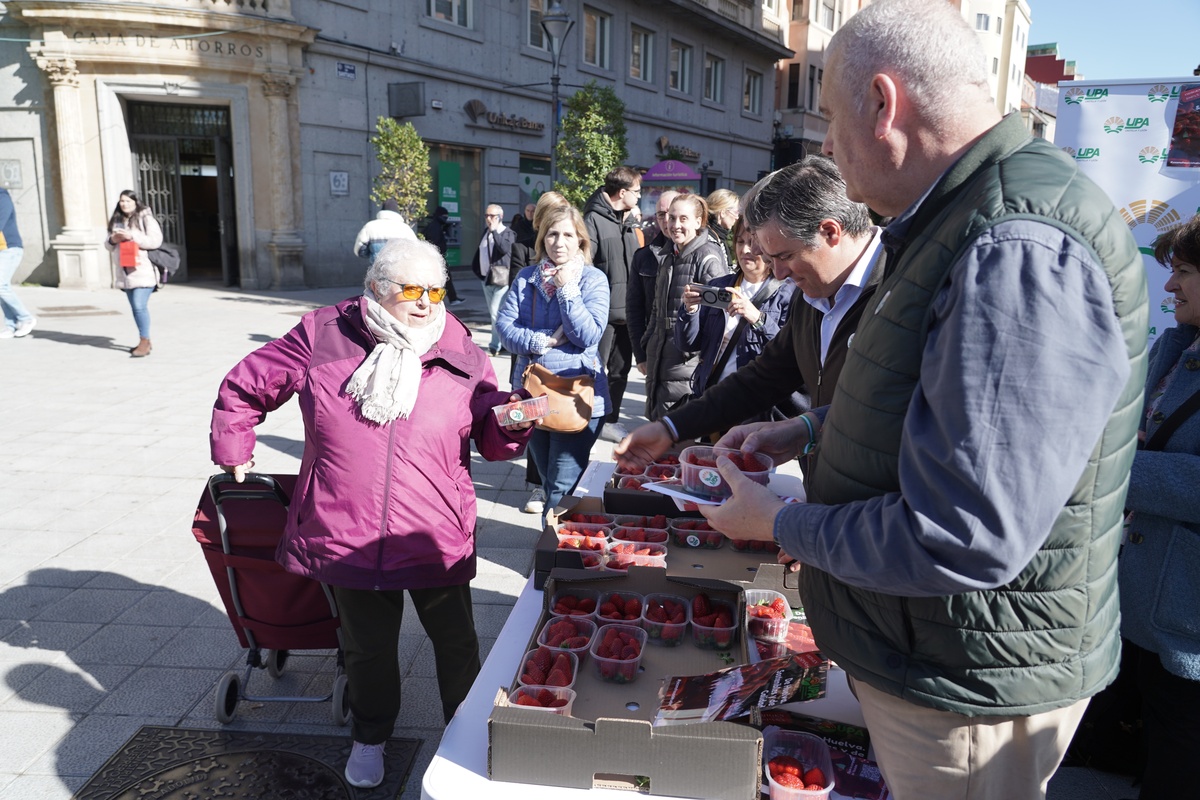 UPA reparte 500 tarrinas de fresa de Huelva para valorizar el producto y potenciar su consumo  / RUBÉN CACHO / ICAL