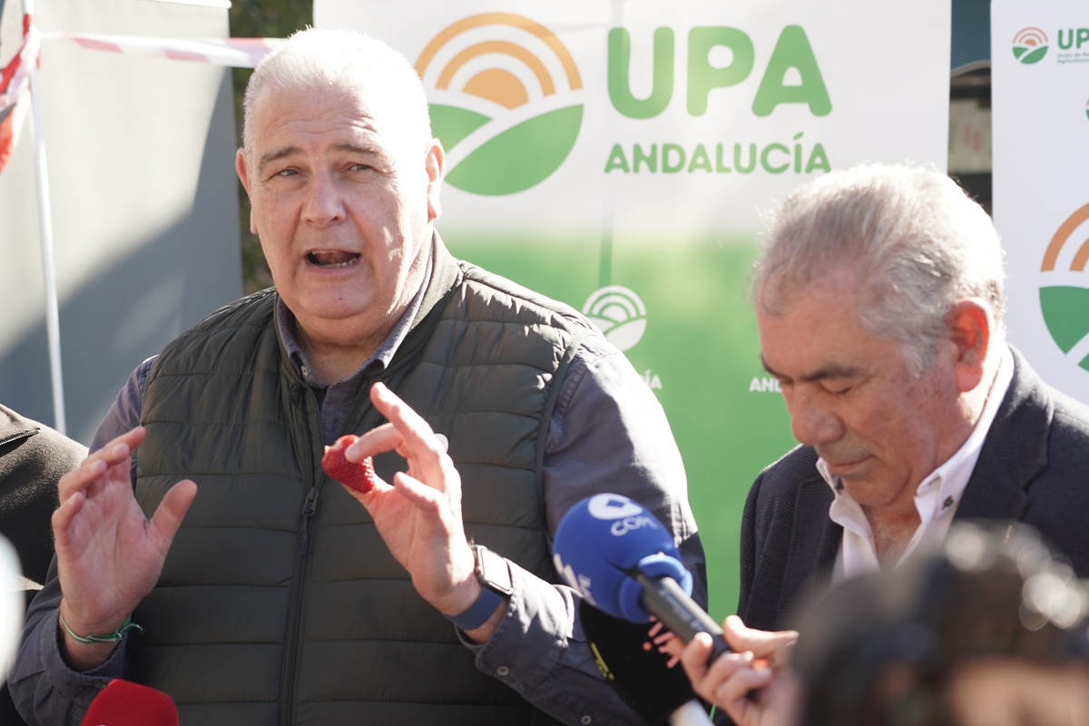 UPA reparte 500 tarrinas de fresa de Huelva para valorizar el producto y potenciar su consumo  / RUBÉN CACHO / ICAL